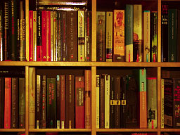 Buch Regal Webtext
