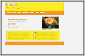 www.goldo.de